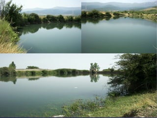 Presentacion albuñan