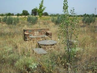 Presentacion albuñan
