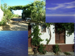 Presentacion albuñan