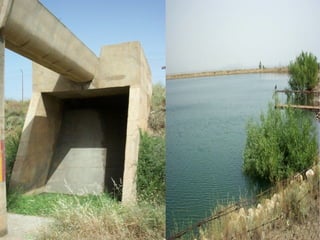 Presentacion albuñan