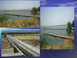 Presentacion albuñan