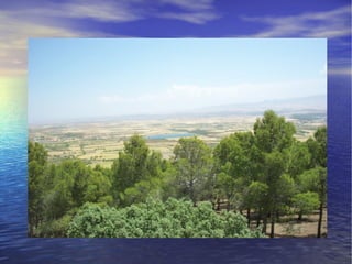 Presentacion albuñan