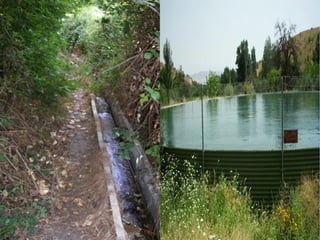 Presentacion albuñan
