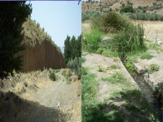 Presentacion albuñan