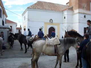 Presentacion albuñan