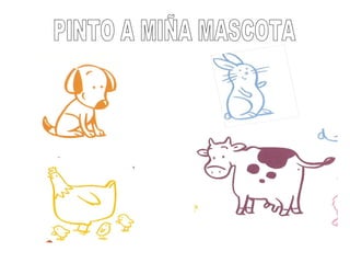 PINTO A MIÑA MASCOTA 
