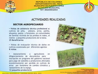 ACTIVIDADES REALIZADAS 
SECTOR AGROPECUARIO 
• Visitas de asistencia técnica profesional a: 
cultivos de piña, plátano, arroz, patilla, 
ahuyama, pastos y forestales, en comunidades 
de familias víctimas de los predios el rodeo, el 
molino y pequeños productores de la balsa. 
25 Beneficiarios 
• Visitas de evaluación técnica de daños en 
cultivos ocasionados por diferentes agentes 
8 visitas 
• Asesoramiento a agricultores en 
diligenciamiento de documentos para 
inscripción en programa del gobierno nacional 
para pago de subsidios a productores afectados 
económicamente por perdida en cultivos de 
arroz por fenómeno de cambio climático y 
vaneamiento de la espiga. 
12 pequeños productores 
 