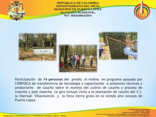 Participación de 14 personas del predio el molino en programa apoyado por 
CORPOICA de transferencia de tecnología y capacitación a asistentes técnicos y 
productores de caucho sobre el manejo del cultivo de caucho y proceso de 
cosecha y post cosecha. La gira incluyó visita a la plantación de caucho del C.I. 
la libertad- Villavicencio y la finca tierra grata en la vereda alto navajas de 
Puerto López. 
 