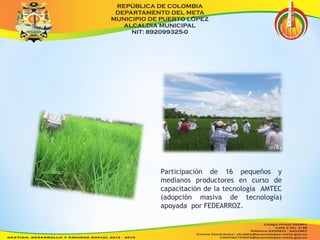 Participación de 16 pequeños y 
medianos productores en curso de 
capacitación de la tecnología AMTEC 
(adopción masiva de tecnología) 
apoyada por FEDEARROZ. 
 