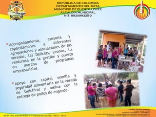 * Acompañamiento, asesoría y 
capacitaciones a diferentes 
agrupaciones y asociaciones de las 
veredas, las Delicias, Leonas, La 
venturosa en la gestión y puesta 
en marcha de programas 
empresariales. 
* Apoyo con capital semilla y 
seguridad alimentaria en la vereda 
de Guichiral y melua con la 
entrega de pollos de engorde. 
 