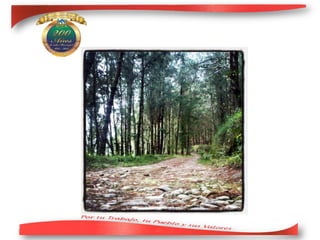 Presentacion al concejo salud.