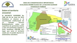 SITUACION ACTUAL ÁREA DE CONSERVACION E IMPORTANCIA ECOLÓGICA ÑEMBI