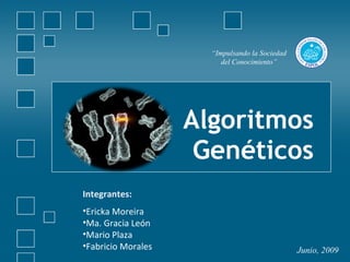 “Impulsando la Sociedad
                         del Conocimiento”




                    Algoritmos
                     Genéticos
Integrantes:
•Ericka Moreira
•Ma. Gracia León
•Mario Plaza
•Fabricio Morales                               Junio, 2009
 