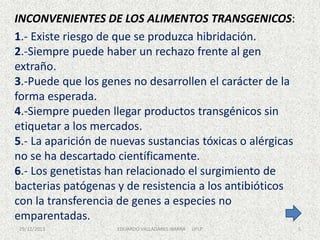 INCONVENIENTES DE LOS ALIMENTOS TRANSGENICOS:
1.- Existe riesgo de que se produzca hibridación.
2.-Siempre puede haber un rechazo frente al gen
extraño.
3.-Puede que los genes no desarrollen el carácter de la
forma esperada.
4.-Siempre pueden llegar productos transgénicos sin
etiquetar a los mercados.
5.- La aparición de nuevas sustancias tóxicas o alérgicas
no se ha descartado científicamente.
6.- Los genetistas han relacionado el surgimiento de
bacterias patógenas y de resistencia a los antibióticos
con la transferencia de genes a especies no
emparentadas.
29/12/2013

EDUARDO VALLADARES IBARRA

UFLP

5

 