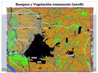 Bosques y Vegetación remanente (2008)
 
