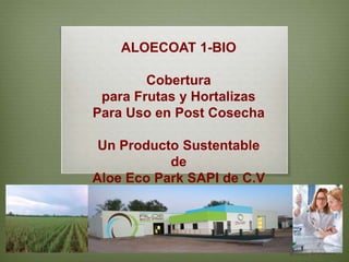 ALOECOAT 1-BIO
Cobertura
para Frutas y Hortalizas
Para Uso en Post Cosecha
Un Producto Sustentable
de
Aloe Eco Park SAPI de C.V
 