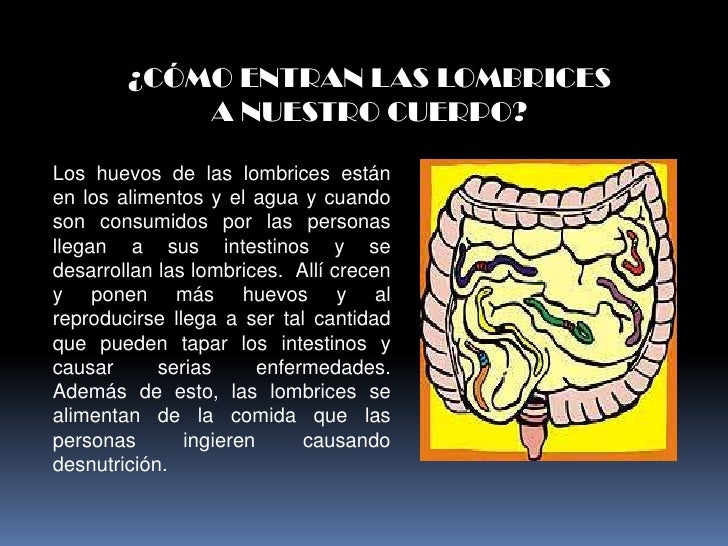 El más medio simple de las lombrices para las personas