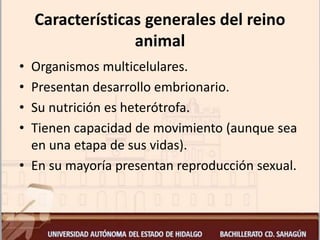 Características generales del reino
animal
• Organismos multicelulares.
• Presentan desarrollo embrionario.
• Su nutrición es heterótrofa.
• Tienen capacidad de movimiento (aunque sea
en una etapa de sus vidas).
• En su mayoría presentan reproducción sexual.
 