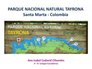 PARQUE NACIONAL NATURAL TAYRONA
Santa Marta - Colombia
Ana Isabel Cadavid Cifuentes
4 – B Colegio Canadiense
 