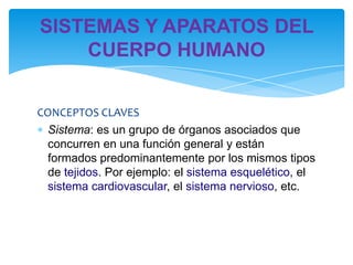 SISTEMAS Y APARATOS DEL
    CUERPO HUMANO


CONCEPTOS CLAVES
  Sistema: es un grupo de órganos asociados que
  concurren en una función general y están
  formados predominantemente por los mismos tipos
  de tejidos. Por ejemplo: el sistema esquelético, el
  sistema cardiovascular, el sistema nervioso, etc.
 