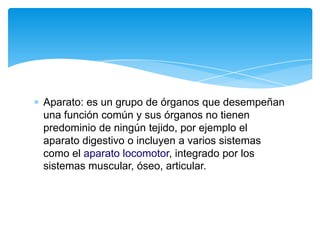 Aparato: es un grupo de órganos que desempeñan
una función común y sus órganos no tienen
predominio de ningún tejido, por ejemplo el
aparato digestivo o incluyen a varios sistemas
como el aparato locomotor, integrado por los
sistemas muscular, óseo, articular.
 