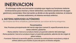 Anatomia Rosa Anatomía Cuerpo Humano Ilustrado Rosa y Beige.pdf