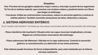Anatomia Rosa Anatomía Cuerpo Humano Ilustrado Rosa y Beige.pdf