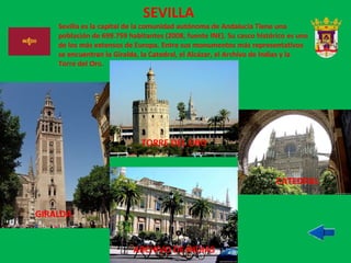 SEVILLA Sevilla es la capital de la comunidad autónoma de Andalucía Tiene una población de 699.759 habitantes (2008, fuente INE). Su casco histórico es uno de los más extensos de Europa. Entre sus monumentos más representativos se encuentran la Giralda, la Catedral, el Alcázar, el Archivo de Indias y la Torre del Oro. CATEDRAL TORRE DEL ORO GIRALDA ARCHIVO DE INDIAS 