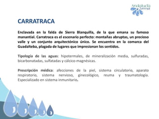CARRATRACA
Enclavada en la falda de Sierra Blanquilla, de la que emana su famoso
manantial. Carratraca es el escenario perfecto: montañas abruptas, un precioso
valle y un conjunto arquitectónico único. Se encuentra en la comarca del
Guadalteba, plagada de lugares que impresionan los sentidos.
Tipología de las aguas: hipotermales, de mineralización media, sulfuradas,
bicarbonatadas, sulfatadas y cálcico-magnésicas.
Prescripción médica: afecciones de la piel, sistema circulatorio, aparato
respiratorio, sistema nervioso, ginecológico, reuma y traumatología.
Especializado en sistema inmunitario.
 