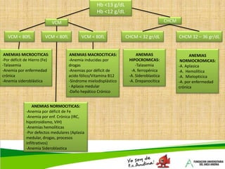 ANEMIASHIPOPROLIFERATIVASERITROPOYESIS INEFICAZHEMORRAGIAS/HEMOLISISHEMOLISIS INTRAVASCULAR / EXTRAVASCULARDEFICIT EN MADURACION NUCLEARDEFICIT EN MADURACION CITOPLASMATICADEFICIT DE HIERRODEFICIT DE SINTESIS DE GLOBINASDEFICIT DE  SINTESIS DE PROTOPORFIRINASA. MEGALOBLASTICAHEREDITARIASADQUIRIDASLESION MEDULARDEFICIT DE HIERROESTIMULACION INSUFICIENTE DE LA EPOA.PERNICIOSA       (< DE V. B12)A. < ACIDO FOLICOINTRACORPUSCULARESEXTRACORPUSCULARESA. FERROPENICAA. TALASEMICAA. SIDEROBLASTICANORMOCITICAS, MICROCITICAS, MACROCITICASABSOLUTORELATIVOALTERACIONFUNCIONRENALDISMINUCION DE LAS NECESIDADES TISULARES DE O2A. FERROPENICAA. MIELOPTISICAA. ENF. CRONICAA. ENF. CRONICA(ESTADOS HIPOMETABOLICOS)- HIPOTIROIDISMO- MALNUTRICION PROTEICAA. MIELODISPLASICAA. APLASICA