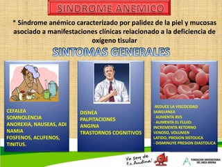 Hb <13 g/dLHb <12 g/dLCHCMVCMVCM < 80fLVCM < 80fLVCM < 80fLCHCM < 32 gr/dLCHCM 32 – 36 gr/dLANEMIAS MICROCITICAS:Por déficit de Hierro (Fe)