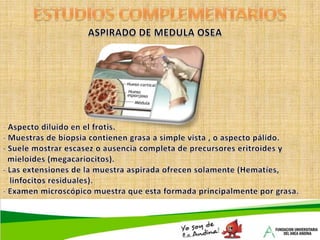 A. DrepanocíticaANEMIAS NORMOCROMICAS:A. Aplasica