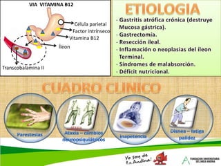 A. por enfermedad crónicaANEMIAS NORMOCITICAS:Anemia por déficit de Fe