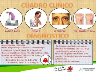 ANEMIA FERROPENICALa deficiencia de hierro es la causa más común de anemia, que afecta a todas las personas  de todas las edades en el mundo y se divide en tres estadios:IIIIIIANEMIA MODERADA:Hb: 10 – 13g/dLANEMIA GRAVE:Hb: 7 – 8g/dL  (Hipocromía – microcitosis)HIERRO (Fe)DEMANDAS (Fe)FeLas demandas de hierrosuperan la capacidad delorganismo en absolverlo.Se agotan los depósitos de Fe,eritropoyesis ferropénica,afecta síntesis de Hb.