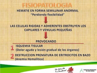 TAQUICARDIA		PICA (DESEO DE COMER SUSTANCIAS RARAS)DIAGNOSTICOCUADRO CLINICOEXAMEN FISICOLABORATORIOS< Hemoglobina	>plaquetas< Hematocrito	Sangre en heces< transferrinaBiopsia 