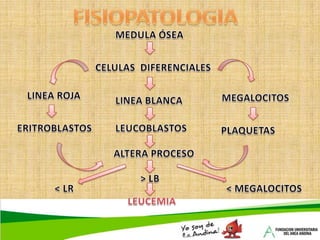 Estudio de HLA familiar (Antígenos Leucocitarios humanos).