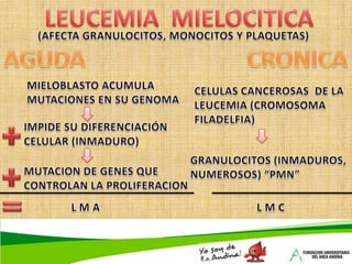  Inflamación o neoplasias del íleon  Terminal. Síndromes de malabsorción.  