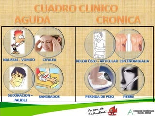  Déficit nutricional. Célula parietalFactor intrínsecoVitamina B12ÍleonTranscobalamina IICUADRO CLINICODisnea – fatigapalidezAtaxia – cambiosneuropsiquiátricosParestesiasInapetencia