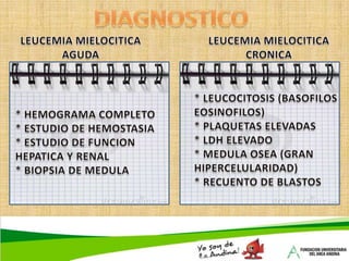 2ANEMIA POR DEFICIENCIA DE ACIDO FOLICO También necesaria para la síntesis de DNA y la maduración de los glóbulos rojos.