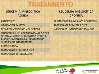  Su deficiencia produce el mismo tipo de cambios megaloblásticos que produce por deficiencia de Vitamina B12.