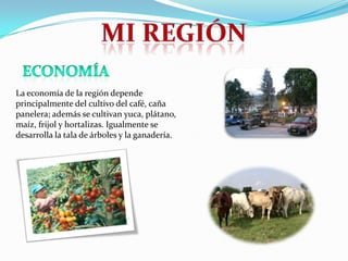 La economía de la región depende
principalmente del cultivo del café, caña
panelera; además se cultivan yuca, plátano,
maíz, frijol y hortalizas. Igualmente se
desarrolla la tala de árboles y la ganadería.

 