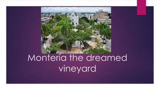 Montería the dreamed
vineyard
 