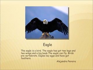 Eagle
The eagle is a bird. The eagle has got two legs and
two wings and a big beak.The eagle can fly. Birds
are vertebrate. Eagles lay eggs and have got
feathers.
                                  Alejandro Pereira
 