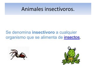 Presentacion animales | PPTX