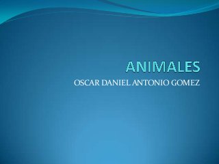 OSCAR DANIEL ANTONIO GOMEZ
 