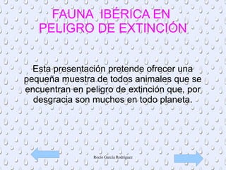 Rocío García Rodríguez
FAUNA IBÉRICA EN
PELIGRO DE EXTINCIÓN
Esta presentación pretende ofrecer una
pequeña muestra de todos animales que se
encuentran en peligro de extinción que, por
desgracia son muchos en todo planeta.
 
