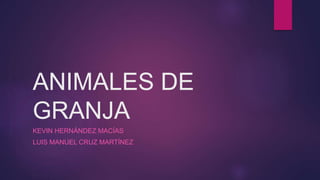 ANIMALES DE
GRANJA
KEVIN HERNÁNDEZ MACÍAS
LUIS MANUEL CRUZ MARTÍNEZ
 