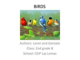 BIRDS
Authors: Loren and Gonzalo
Class: 2nd grade B
School: CEIP Las Lomas
 