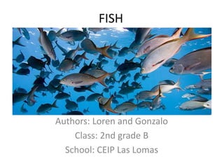 FISH
Authors: Loren and Gonzalo
Class: 2nd grade B
School: CEIP Las Lomas
 