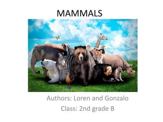 MAMMALS
Authors: Loren and Gonzalo
Class: 2nd grade B
 